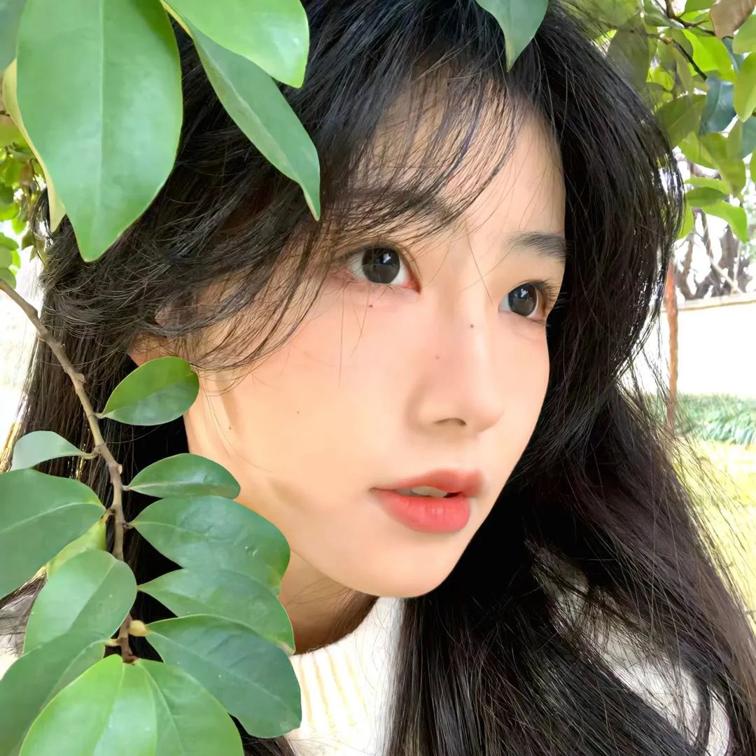 鱼缸
